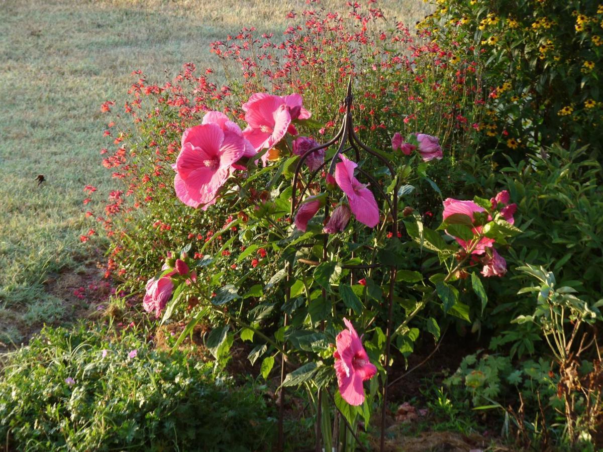 Termes-d'Armagnac Le Pouy Bed & Breakfast エクステリア 写真